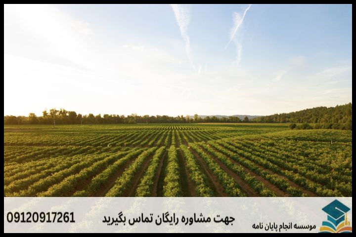 Farm Culture Is At Increase In The Rural Areas — تصویر 2