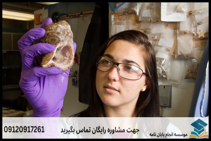 هزینه و قیمت انجام پایان نامه مهندسی کشاورزی علوم دامی + مشاوره، نگارش و اصلاح [ارشد و دکتری] — تصویر 2